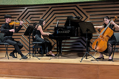 Cremona Academy Program